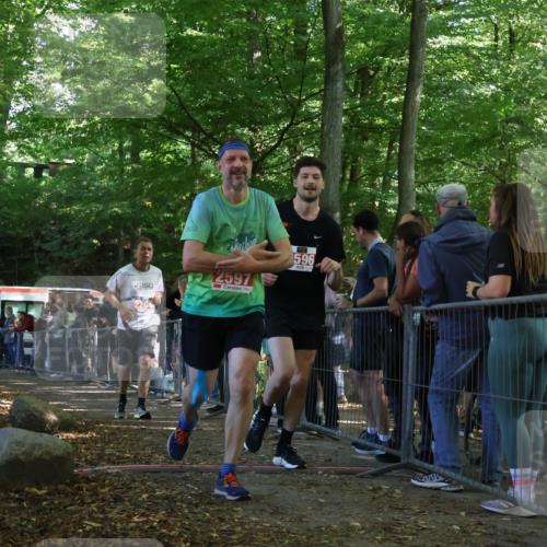 28.09.2025 - 33. Volkslauf durch das schöne Alstertal Strokosch-Dieckow http://msf.ph/oto/8953331 28.09.2025 12:30:44 Ziel 2264, 2596, 2597 meine-sportfotos.de