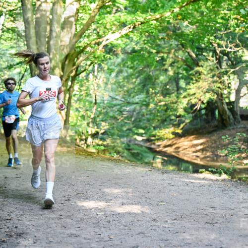 28.09.2025 - 33. Volkslauf durch das schöne Alstertal Dr. Thomas Lammeyer http://msf.ph/oto/8953342 28.09.2025 10:34:58 Laufen 263 meine-sportfotos.de