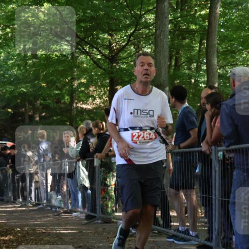 28.09.2025 - 33. Volkslauf durch das schöne Alstertal Strokosch-Dieckow http://msf.ph/oto/8953343 28.09.2025 12:30:47 Ziel 2018, 2042, 2045, 2264 meine-sportfotos.de