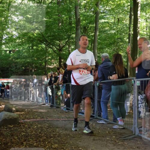 28.09.2025 - 33. Volkslauf durch das schöne Alstertal Strokosch-Dieckow http://msf.ph/oto/8953346 28.09.2025 12:30:47 Ziel 2018, 2042, 2045, 2264 meine-sportfotos.de