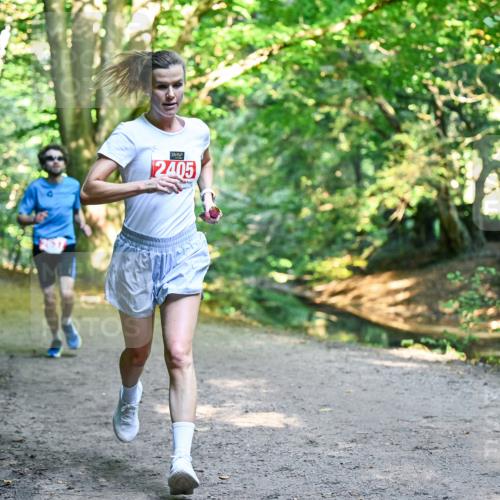 28.09.2025 - 33. Volkslauf durch das schöne Alstertal Dr. Thomas Lammeyer http://msf.ph/oto/8953350 28.09.2025 10:34:59 Laufen 2405 meine-sportfotos.de