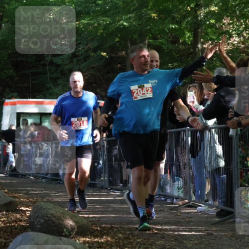 28.09.2025 - 33. Volkslauf durch das schöne Alstertal Strokosch-Dieckow http://msf.ph/oto/8953368 28.09.2025 12:30:54 Ziel 1706, 2018, 2042, 2045 meine-sportfotos.de