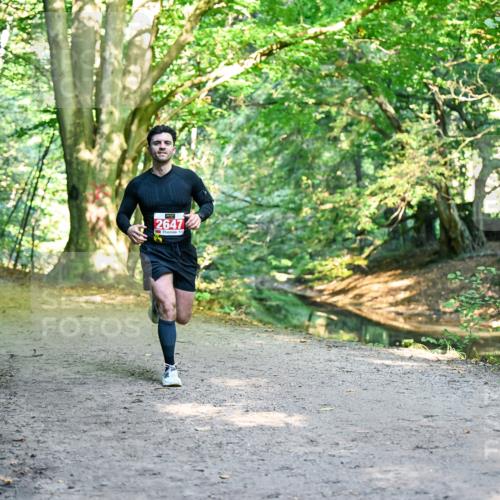 28.09.2025 - 33. Volkslauf durch das schöne Alstertal Dr. Thomas Lammeyer http://msf.ph/oto/8953370 28.09.2025 10:35:03 Laufen 2647 meine-sportfotos.de