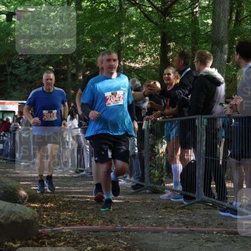 28.09.2025 - 33. Volkslauf durch das schöne Alstertal Strokosch-Dieckow http://msf.ph/oto/8953373 28.09.2025 12:30:54 Ziel 1706, 2018, 2042, 2045 meine-sportfotos.de
