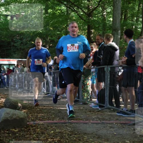 28.09.2025 - 33. Volkslauf durch das schöne Alstertal Strokosch-Dieckow http://msf.ph/oto/8953376 28.09.2025 12:30:55 Ziel 1706, 2018, 2042, 2045, 2274 meine-sportfotos.de