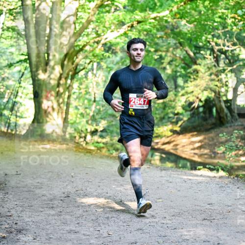 28.09.2025 - 33. Volkslauf durch das schöne Alstertal Dr. Thomas Lammeyer http://msf.ph/oto/8953378 28.09.2025 10:35:04 Laufen 2647 meine-sportfotos.de