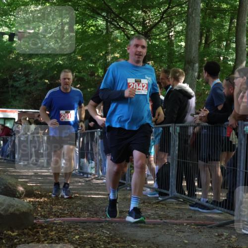 28.09.2025 - 33. Volkslauf durch das schöne Alstertal Strokosch-Dieckow http://msf.ph/oto/8953379 28.09.2025 12:30:55 Ziel 1706, 2018, 2042, 2045, 2274 meine-sportfotos.de