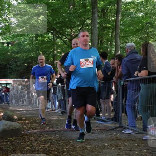 28.09.2025 - 33. Volkslauf durch das schöne Alstertal Strokosch-Dieckow http://msf.ph/oto/8953382 28.09.2025 12:30:56 Ziel 1706, 2018, 2042, 2045, 2274 meine-sportfotos.de