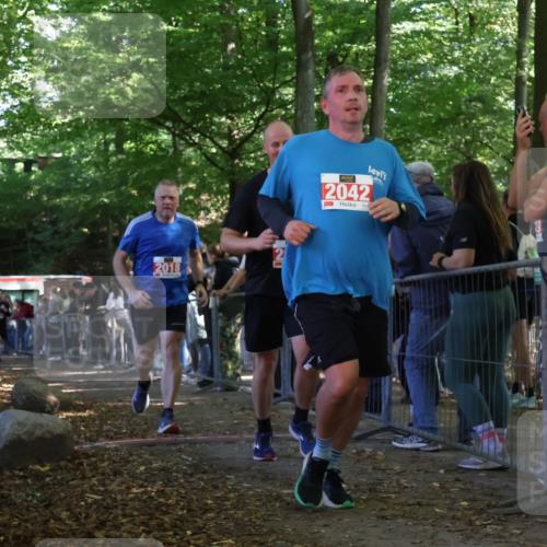 28.09.2025 - 33. Volkslauf durch das schöne Alstertal Strokosch-Dieckow http://msf.ph/oto/8953384 28.09.2025 12:30:56 Ziel 1706, 2018, 2042, 2045, 2274 meine-sportfotos.de