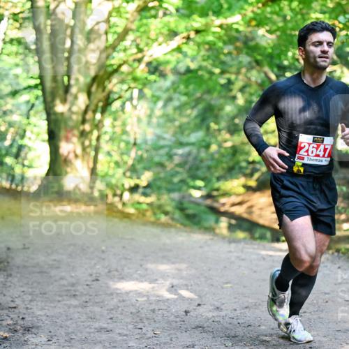 28.09.2025 - 33. Volkslauf durch das schöne Alstertal Dr. Thomas Lammeyer http://msf.ph/oto/8953385 28.09.2025 10:35:05 Laufen 2647 meine-sportfotos.de