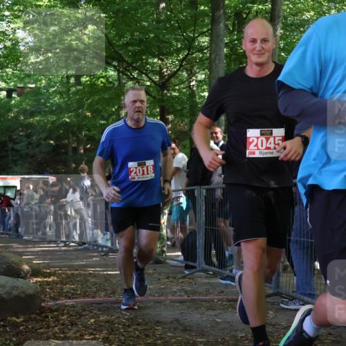 28.09.2025 - 33. Volkslauf durch das schöne Alstertal Strokosch-Dieckow http://msf.ph/oto/8953386 28.09.2025 12:30:57 Ziel 1706, 2018, 2274 meine-sportfotos.de
