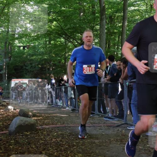 28.09.2025 - 33. Volkslauf durch das schöne Alstertal Strokosch-Dieckow http://msf.ph/oto/8953389 28.09.2025 12:30:57 Ziel 1706, 2018, 2274 meine-sportfotos.de