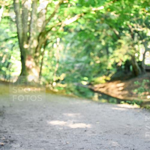 28.09.2025 - 33. Volkslauf durch das schöne Alstertal Dr. Thomas Lammeyer http://msf.ph/oto/8953390 28.09.2025 10:35:05 Laufen  meine-sportfotos.de