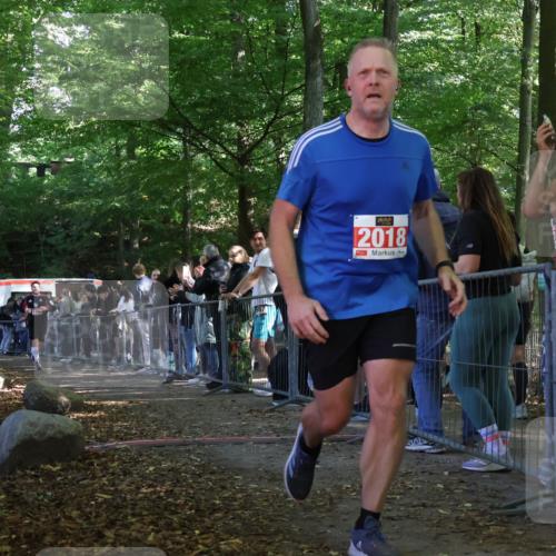 28.09.2025 - 33. Volkslauf durch das schöne Alstertal Strokosch-Dieckow http://msf.ph/oto/8953391 28.09.2025 12:30:58 Ziel 1706, 2274 meine-sportfotos.de