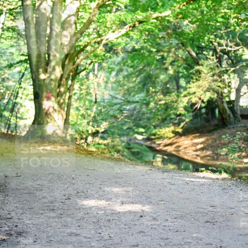 28.09.2025 - 33. Volkslauf durch das schöne Alstertal Dr. Thomas Lammeyer http://msf.ph/oto/8953392 28.09.2025 10:35:05 Laufen  meine-sportfotos.de