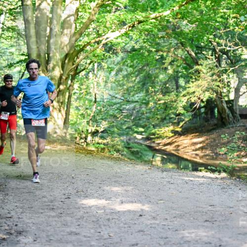 28.09.2025 - 33. Volkslauf durch das schöne Alstertal Dr. Thomas Lammeyer http://msf.ph/oto/8953395 28.09.2025 10:35:07 Laufen 2161, 2591, 2636 meine-sportfotos.de