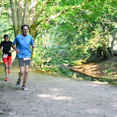 28.09.2025 - 33. Volkslauf durch das schöne Alstertal Dr. Thomas Lammeyer http://msf.ph/oto/8953400 28.09.2025 10:35:08 Laufen 2591, 2000 meine-sportfotos.de