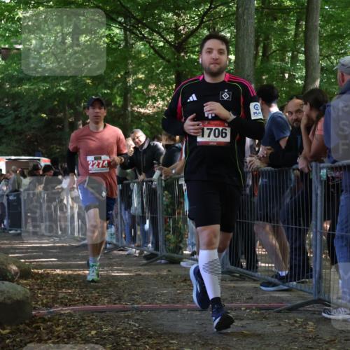 28.09.2025 - 33. Volkslauf durch das schöne Alstertal Strokosch-Dieckow http://msf.ph/oto/8953409 28.09.2025 12:31:04 Ziel 1706, 2274, 2352 meine-sportfotos.de
