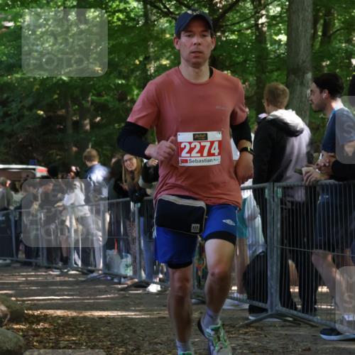 28.09.2025 - 33. Volkslauf durch das schöne Alstertal Strokosch-Dieckow http://msf.ph/oto/8953411 28.09.2025 12:31:05 Ziel 2274, 2352 meine-sportfotos.de