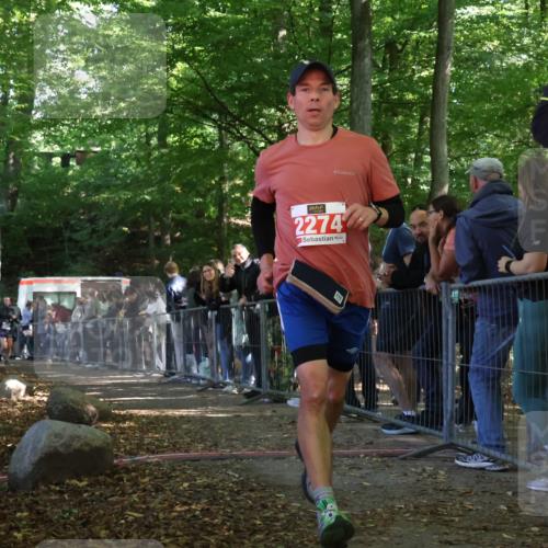 28.09.2025 - 33. Volkslauf durch das schöne Alstertal Strokosch-Dieckow http://msf.ph/oto/8953414 28.09.2025 12:31:05 Ziel 2274, 2352 meine-sportfotos.de