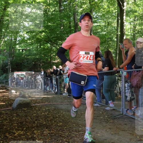 28.09.2025 - 33. Volkslauf durch das schöne Alstertal Strokosch-Dieckow http://msf.ph/oto/8953417 28.09.2025 12:31:06 Ziel 2352 meine-sportfotos.de