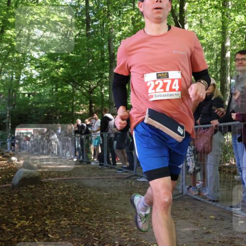 28.09.2025 - 33. Volkslauf durch das schöne Alstertal Strokosch-Dieckow http://msf.ph/oto/8953420 28.09.2025 12:31:06 Ziel 2352 meine-sportfotos.de