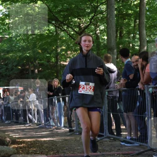 28.09.2025 - 33. Volkslauf durch das schöne Alstertal Strokosch-Dieckow http://msf.ph/oto/8953423 28.09.2025 12:31:12 Ziel 2352 meine-sportfotos.de