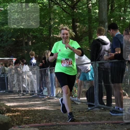 28.09.2025 - 33. Volkslauf durch das schöne Alstertal Strokosch-Dieckow http://msf.ph/oto/8953432 28.09.2025 12:31:33 Ziel 2176, 2354, 2493, 2537 meine-sportfotos.de