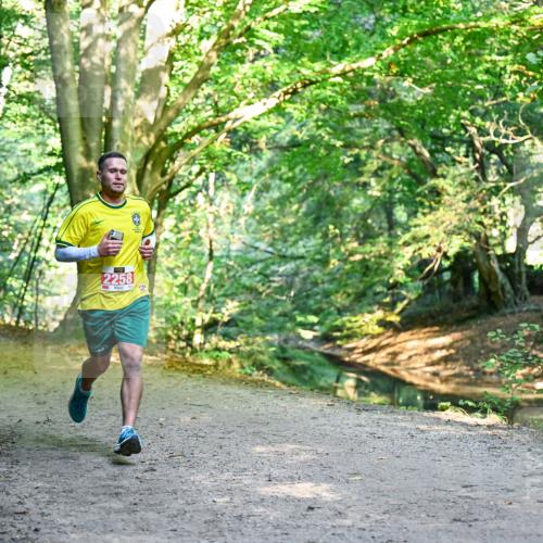 28.09.2025 - 33. Volkslauf durch das schöne Alstertal Dr. Thomas Lammeyer http://msf.ph/oto/8953434 28.09.2025 10:35:36 Laufen 2258 meine-sportfotos.de