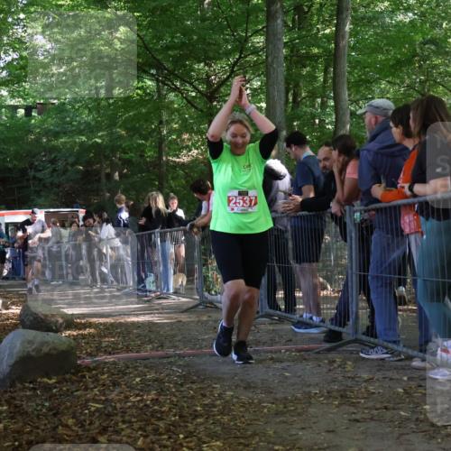 28.09.2025 - 33. Volkslauf durch das schöne Alstertal Strokosch-Dieckow http://msf.ph/oto/8953435 28.09.2025 12:31:34 Ziel 2176, 2354, 2493, 2537 meine-sportfotos.de