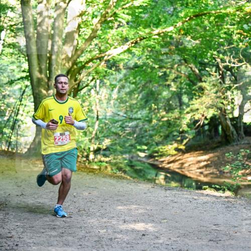 28.09.2025 - 33. Volkslauf durch das schöne Alstertal Dr. Thomas Lammeyer http://msf.ph/oto/8953436 28.09.2025 10:35:36 Laufen 9, 2258 meine-sportfotos.de