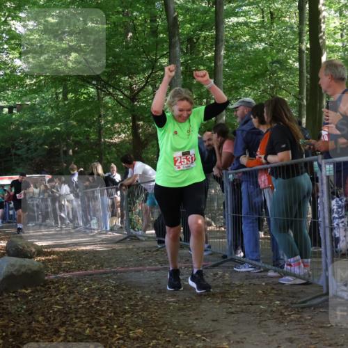 28.09.2025 - 33. Volkslauf durch das schöne Alstertal Strokosch-Dieckow http://msf.ph/oto/8953438 28.09.2025 12:31:34 Ziel 2176, 2354, 2493, 2537 meine-sportfotos.de