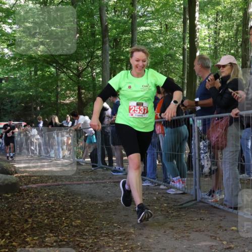 28.09.2025 - 33. Volkslauf durch das schöne Alstertal Strokosch-Dieckow http://msf.ph/oto/8953441 28.09.2025 12:31:35 Ziel 2176, 2354, 2493 meine-sportfotos.de