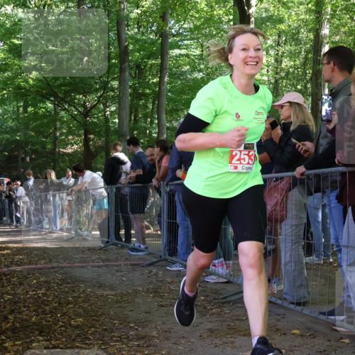 28.09.2025 - 33. Volkslauf durch das schöne Alstertal Strokosch-Dieckow http://msf.ph/oto/8953444 28.09.2025 12:31:35 Ziel 2176, 2354, 2493 meine-sportfotos.de