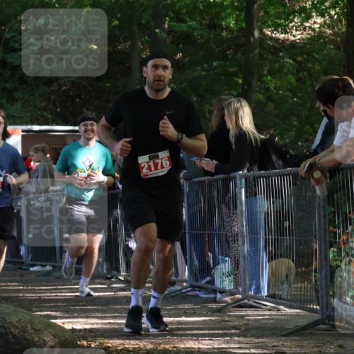 28.09.2025 - 33. Volkslauf durch das schöne Alstertal Strokosch-Dieckow http://msf.ph/oto/8953447 28.09.2025 12:31:37 Ziel 2176, 2354, 2493 meine-sportfotos.de