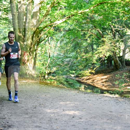 28.09.2025 - 33. Volkslauf durch das schöne Alstertal Dr. Thomas Lammeyer http://msf.ph/oto/8953453 28.09.2025 10:35:40 Laufen 2460 meine-sportfotos.de