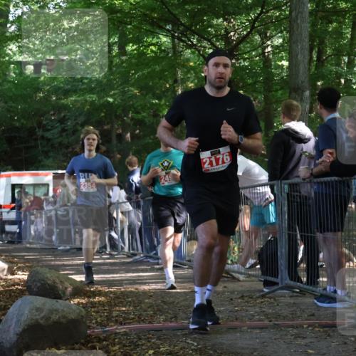 28.09.2025 - 33. Volkslauf durch das schöne Alstertal Strokosch-Dieckow http://msf.ph/oto/8953458 28.09.2025 12:31:40 Ziel 2176, 2354, 2493 meine-sportfotos.de