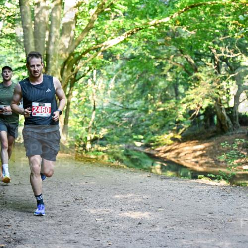 28.09.2025 - 33. Volkslauf durch das schöne Alstertal Dr. Thomas Lammeyer http://msf.ph/oto/8953459 28.09.2025 10:35:41 Laufen 2460 meine-sportfotos.de