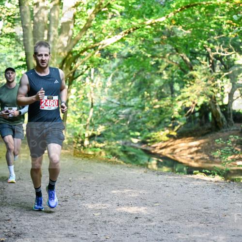 28.09.2025 - 33. Volkslauf durch das schöne Alstertal Dr. Thomas Lammeyer http://msf.ph/oto/8953460 28.09.2025 10:35:41 Laufen 2460 meine-sportfotos.de