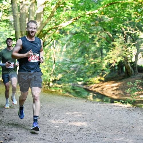 28.09.2025 - 33. Volkslauf durch das schöne Alstertal Dr. Thomas Lammeyer http://msf.ph/oto/8953462 28.09.2025 10:35:41 Laufen 2460 meine-sportfotos.de