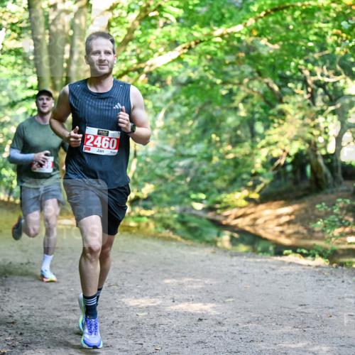 28.09.2025 - 33. Volkslauf durch das schöne Alstertal Dr. Thomas Lammeyer http://msf.ph/oto/8953466 28.09.2025 10:35:41 Laufen 2460 meine-sportfotos.de