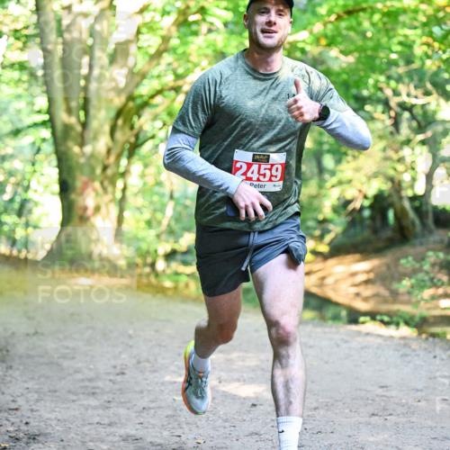 28.09.2025 - 33. Volkslauf durch das schöne Alstertal Dr. Thomas Lammeyer http://msf.ph/oto/8953475 28.09.2025 10:35:43 Laufen 2459 meine-sportfotos.de