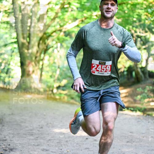 28.09.2025 - 33. Volkslauf durch das schöne Alstertal Dr. Thomas Lammeyer http://msf.ph/oto/8953476 28.09.2025 10:35:43 Laufen 2459 meine-sportfotos.de