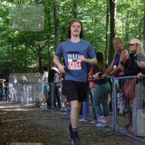28.09.2025 - 33. Volkslauf durch das schöne Alstertal Strokosch-Dieckow http://msf.ph/oto/8953480 28.09.2025 12:31:43 Ziel  meine-sportfotos.de