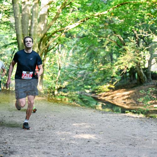 28.09.2025 - 33. Volkslauf durch das schöne Alstertal Dr. Thomas Lammeyer http://msf.ph/oto/8953487 28.09.2025 10:35:45 Laufen 261, 2267 meine-sportfotos.de