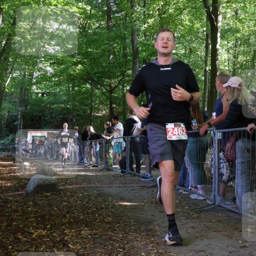 28.09.2025 - 33. Volkslauf durch das schöne Alstertal Strokosch-Dieckow http://msf.ph/oto/8953491 28.09.2025 12:32:09 Ziel 2101, 2329 meine-sportfotos.de