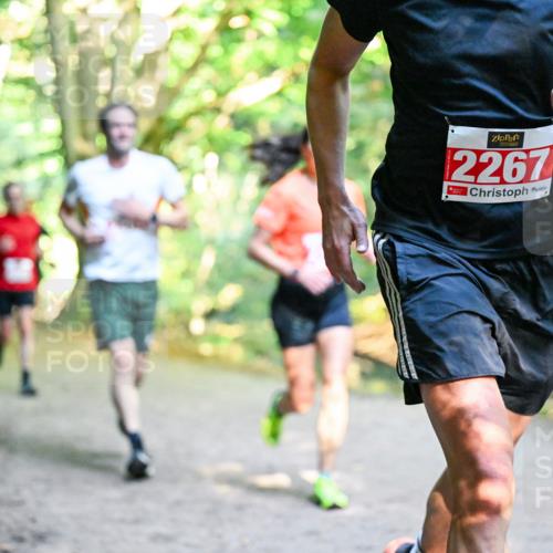 28.09.2025 - 33. Volkslauf durch das schöne Alstertal Dr. Thomas Lammeyer http://msf.ph/oto/8953503 28.09.2025 10:35:47 Laufen 2267 meine-sportfotos.de