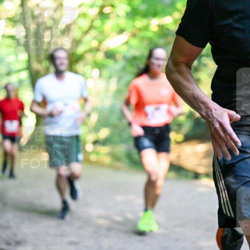 28.09.2025 - 33. Volkslauf durch das schöne Alstertal Dr. Thomas Lammeyer http://msf.ph/oto/8953504 28.09.2025 10:35:47 Laufen 2267 meine-sportfotos.de