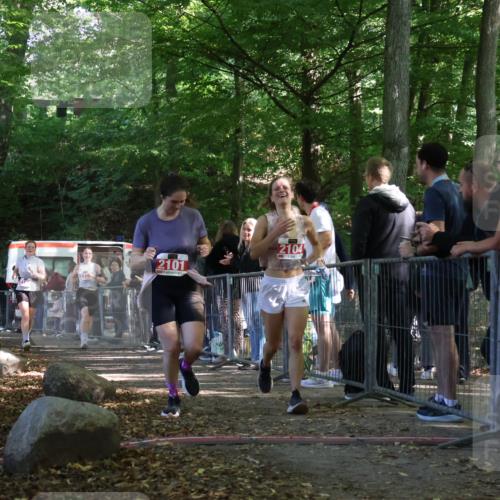 28.09.2025 - 33. Volkslauf durch das schöne Alstertal Strokosch-Dieckow http://msf.ph/oto/8953511 28.09.2025 12:32:18 Ziel 2101, 2163, 2177 meine-sportfotos.de