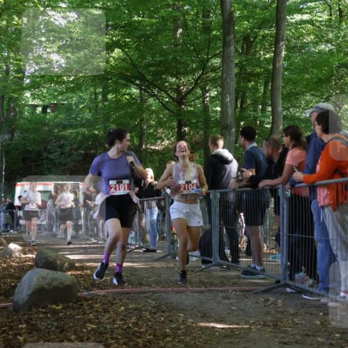 28.09.2025 - 33. Volkslauf durch das schöne Alstertal Strokosch-Dieckow http://msf.ph/oto/8953515 28.09.2025 12:32:18 Ziel 2101, 2163, 2177 meine-sportfotos.de